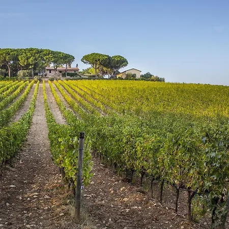 팜스테이 Fattoria Di Magliano Winery *