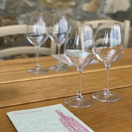 팜스테이 Fattoria Di Magliano Winery