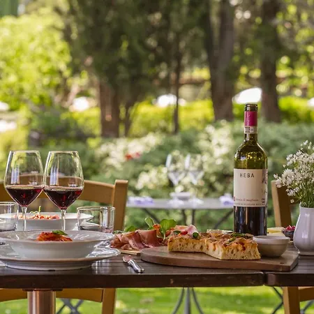 팜스테이 Fattoria Di Magliano Winery
