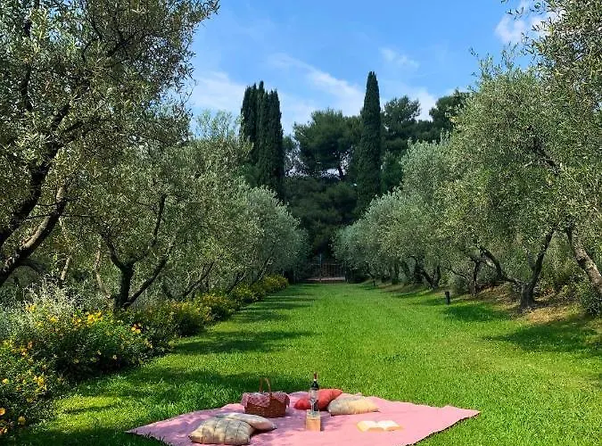 Fattoria Di Magliano Winery *