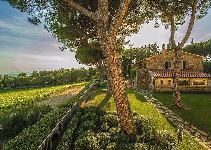 Fattoria Di Magliano Winery *