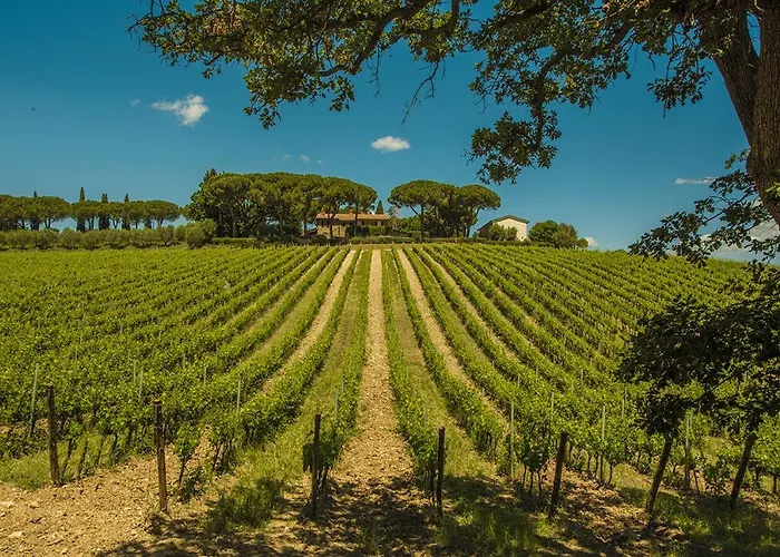 Fattoria Di Magliano Winery * Magliano in Toscana