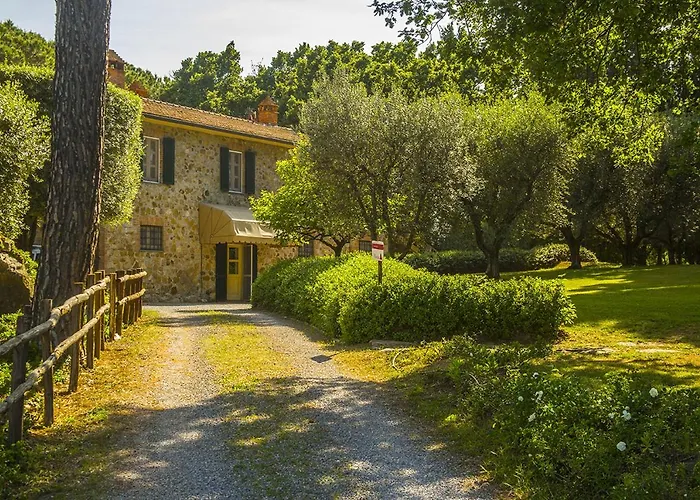 Fattoria Di Magliano Winery Séjour à la ferme Magliano in Toscana