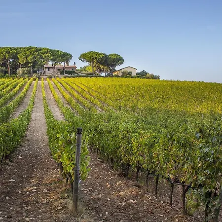 Farm stay Fattoria Di Magliano Winery *