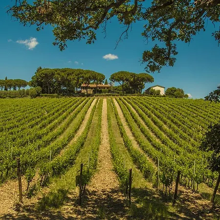 Fattoria Di Magliano Winery * Magliano in Toscana