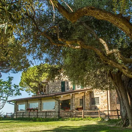 Fattoria Di Magliano Winery *