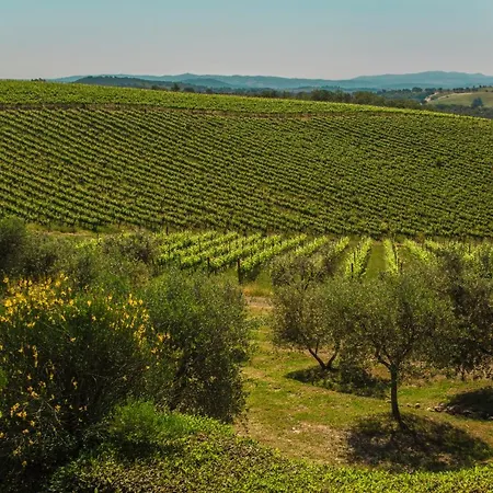 Fattoria Di Magliano Winery *