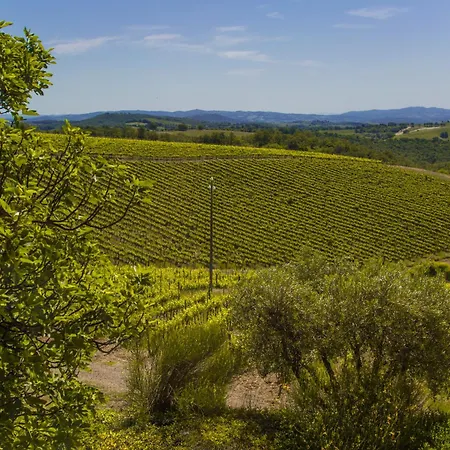 Farm stay Fattoria Di Magliano Winery Magliano in Toscana