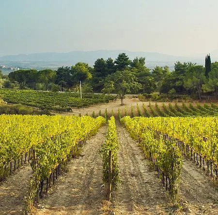 Fattoria Di Magliano Winery