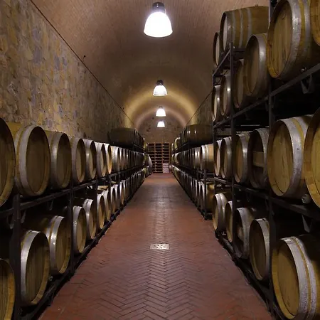 Fattoria Di Magliano Winery Farm stay